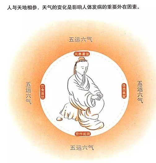 五运六气，你的生辰决定了你的体质｜