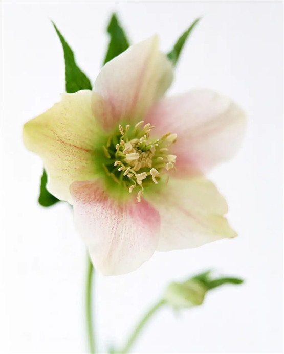 2025年11月16号出生男宝宝八字缺什么？是什么命查询？