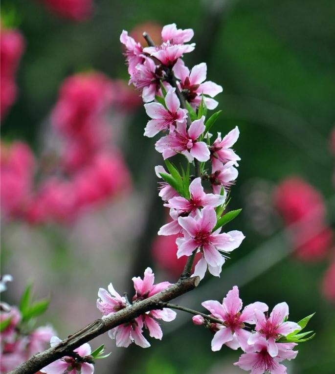 2025年11月22号出生男宝宝八字缺什么？是什么命查询？