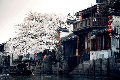 沙中土命的男命是怎么样的