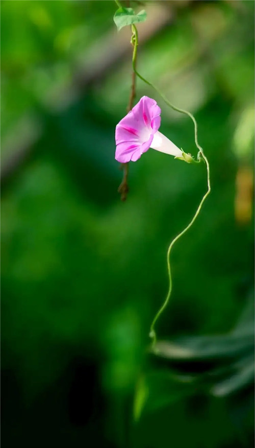 2026年1月4号出生男宝宝八字缺什么？是什么命查询？