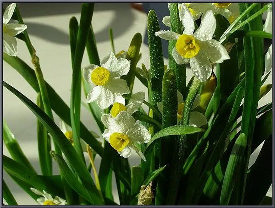 2026年1月８号出生男宝宝八字缺什么？是什么命查询？