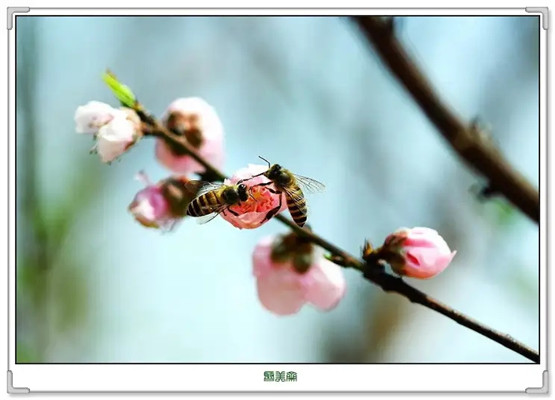 2026年1月10号出生男宝宝八字缺什么？是什么命查询？