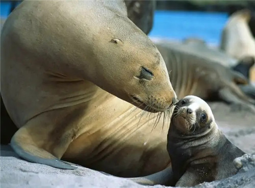 2026年1月18号出生男宝宝八字缺什么？是什么命查询？