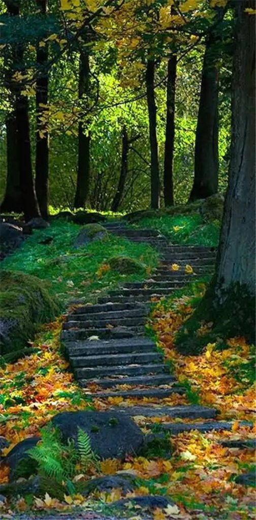 八字命理：断有无子女口诀