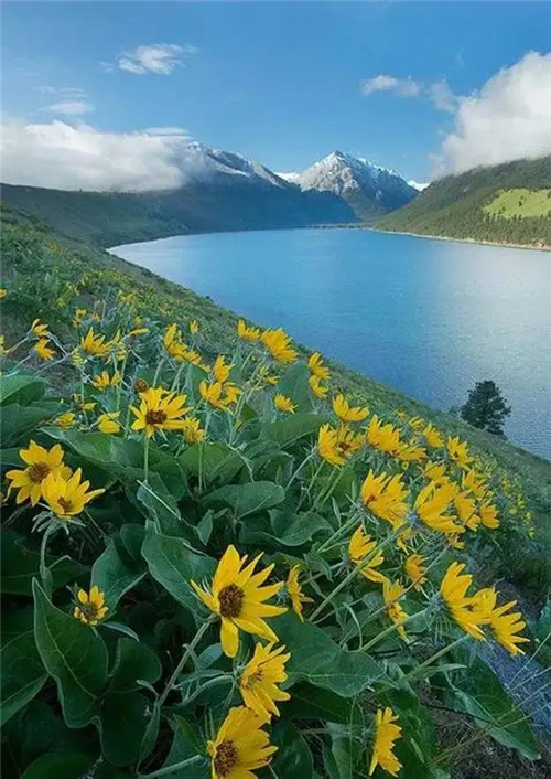 2026年1月号出生男宝宝八字缺什么？是什么命查询？