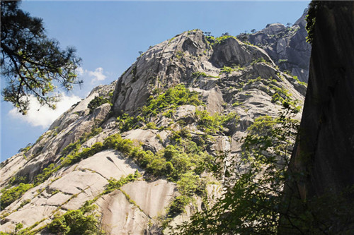 2026年1月29号出生男宝宝八字缺什么？是什么命查询？