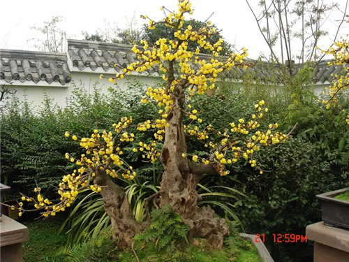 2026年2月13号出生男宝宝八字缺什么？是什么命查询？