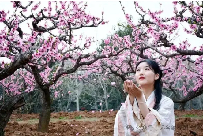 命理术语：倒插桃花，命理魅力与人生修行的平衡之道